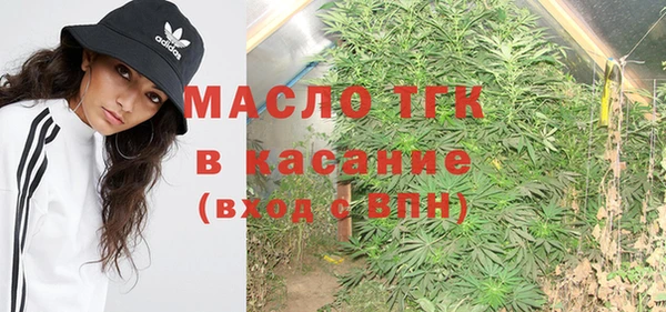 прущие грибы Бородино