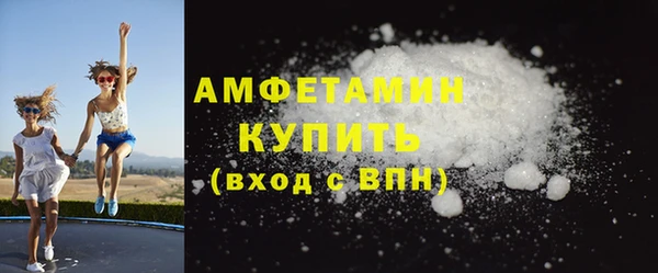 прущие грибы Бородино