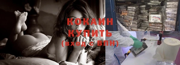 прущие грибы Бородино
