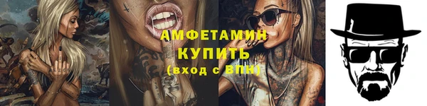 прущие грибы Бородино
