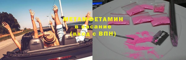 прущие грибы Бородино