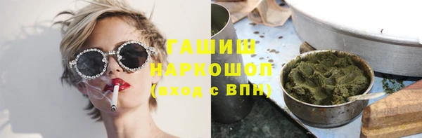прущие грибы Бородино