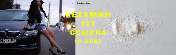прущие грибы Бородино