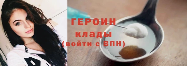 прущие грибы Бородино