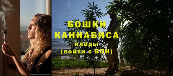 прущие грибы Бородино