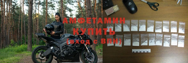 прущие грибы Бородино