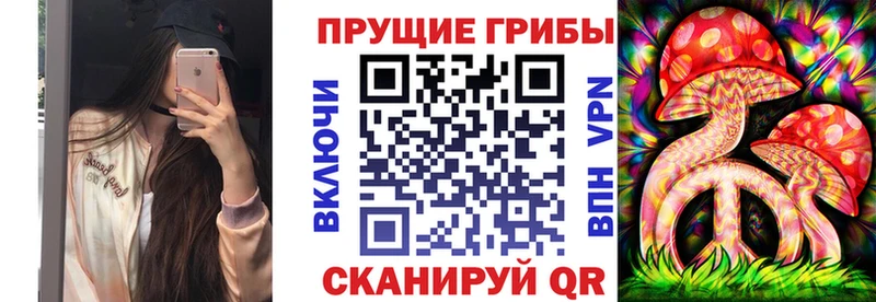 купить наркотики сайты  Кимры  Галлюциногенные грибы мухоморы 